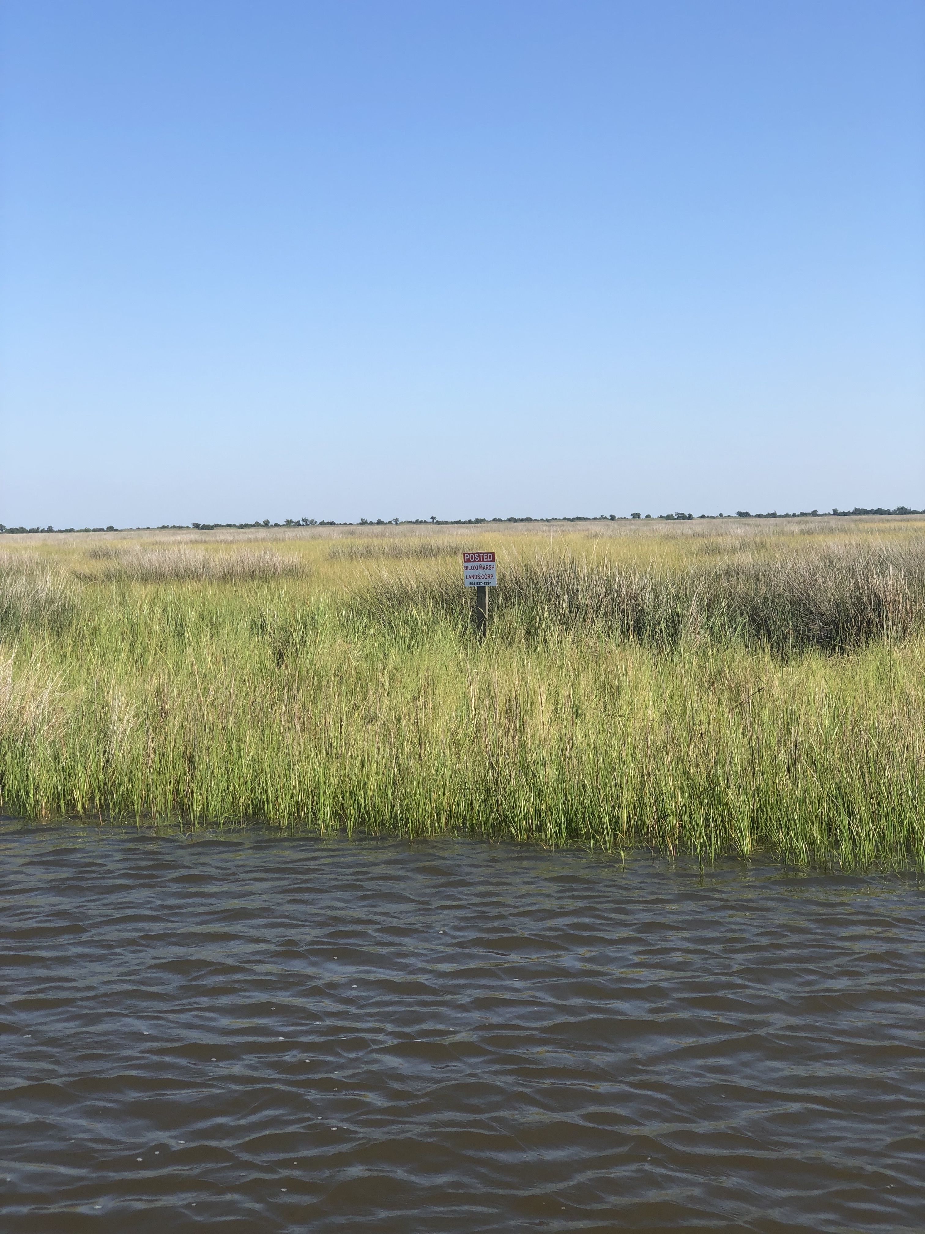 Biloxi Marsh Lands Corporation