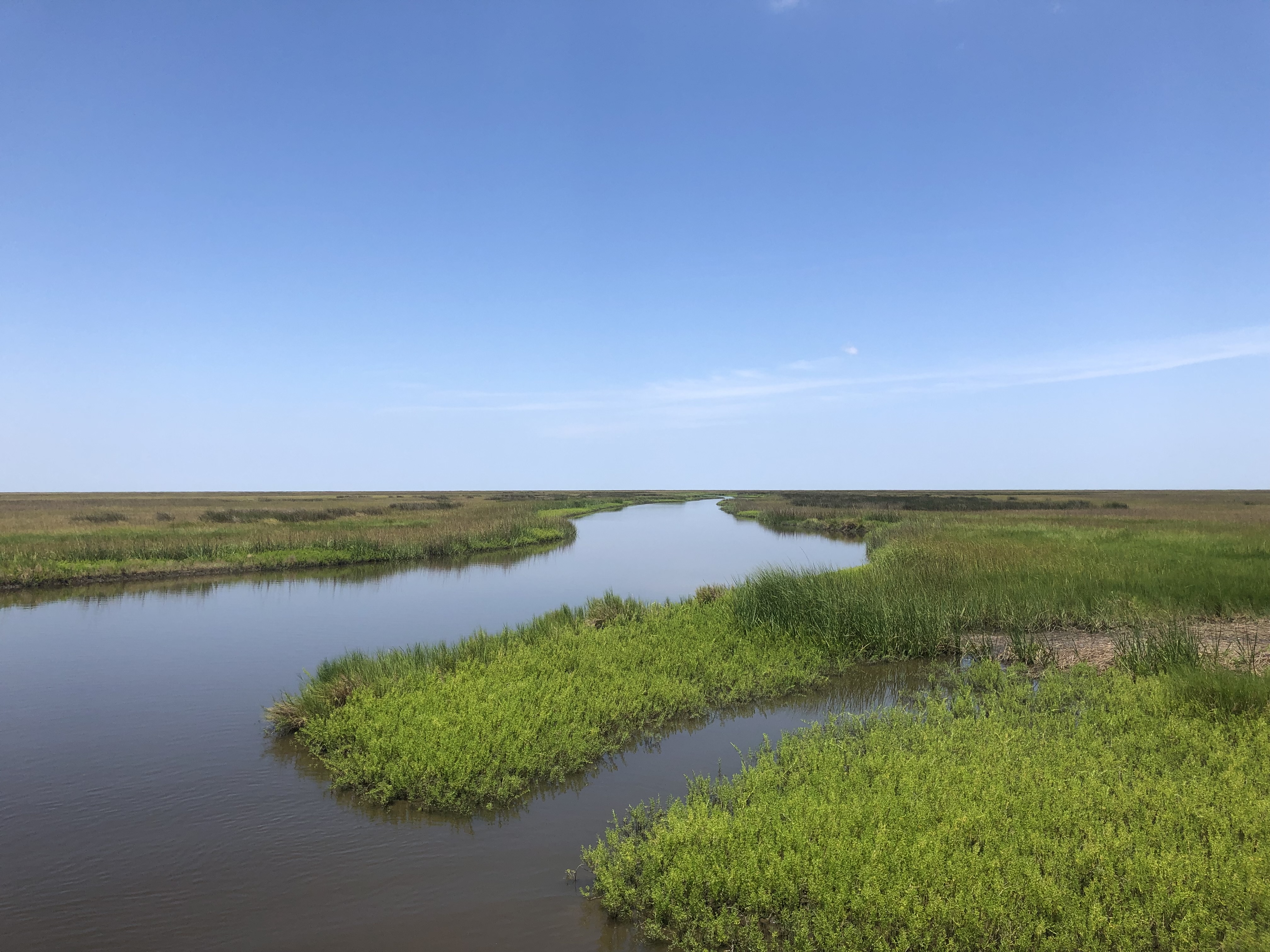 Biloxi Marsh Lands Corporation